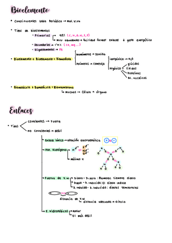 Bioquimica-estructural.pdf