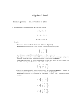 ExamenParcialALsolucion.pdf