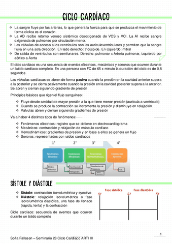 28-Ciclo-cardiaco.pdf