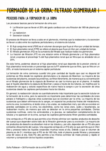 38-Formacion-de-la-orina.pdf