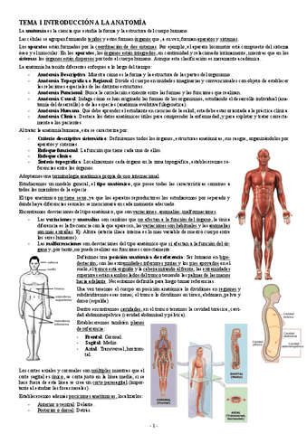 ANATOMIA-TEMA-1-INTRODUCCION-A-LA-ANATOMIA.pdf