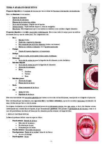 ANATOMIA-TEMA-9-APARATO-DIGESTIVO.pdf