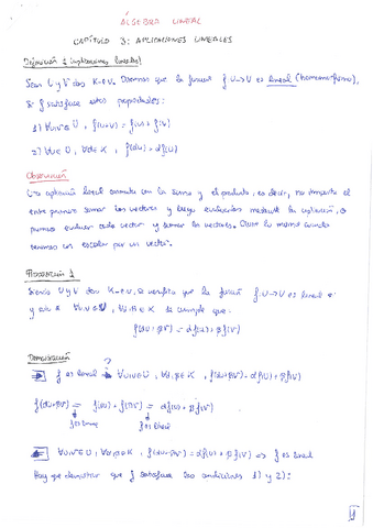 Algebra-Lineal-tema-3-teoria.pdf