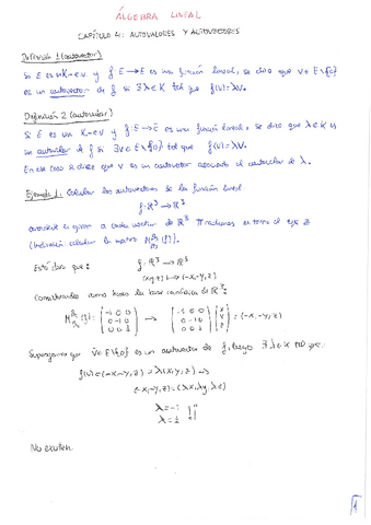 Algebra-Lineal-tema-4-teoria.pdf