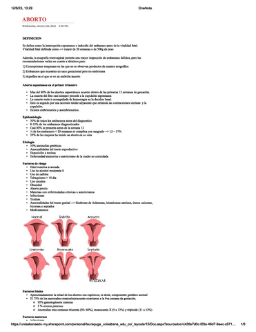 ABORTO.pdf