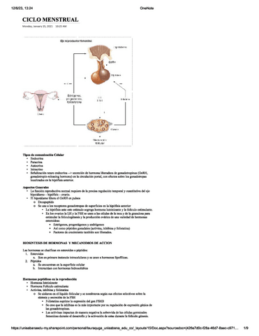 CICLO-MENSTRUAL.pdf