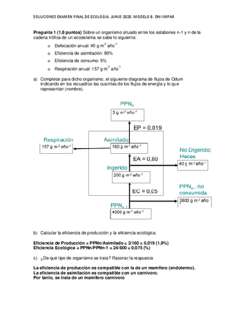 Examen-final-B-2020-Soluciones-1.pdf