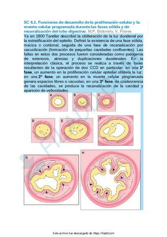 Sintesis-conceptuales-del-capitulo-6.pdf