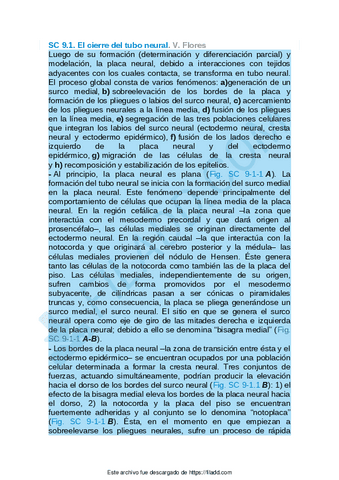 Sintesis-conceptuales-del-capitulo-9.pdf
