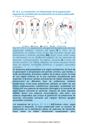 Sintesis-conceptuales-del-capitulo-11.pdf