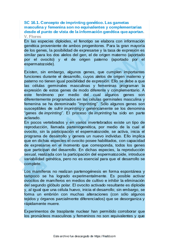 Sintesis-conceptuales-del-capitulo-16.pdf