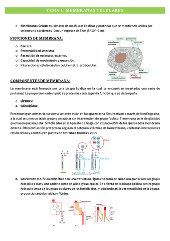 Tema-1-Membranas-Celulares.pdf