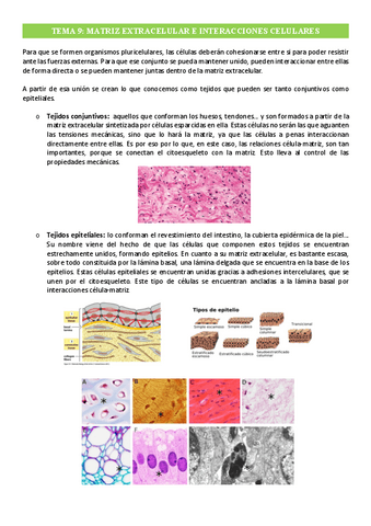 Tema-9-Matriz-extracelular-y-uniones-celulares.pdf