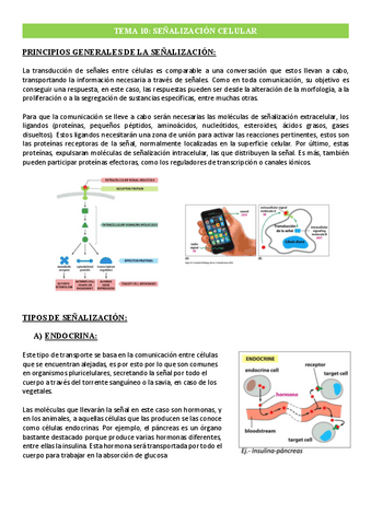 Tema-10-Senalizacion-Celular.pdf