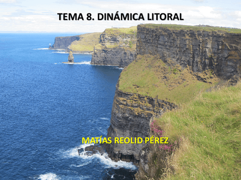 TEMA-8.-DINAMICA-LITORAL.pdf