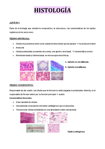 Modulo-4-Histologia.pdf