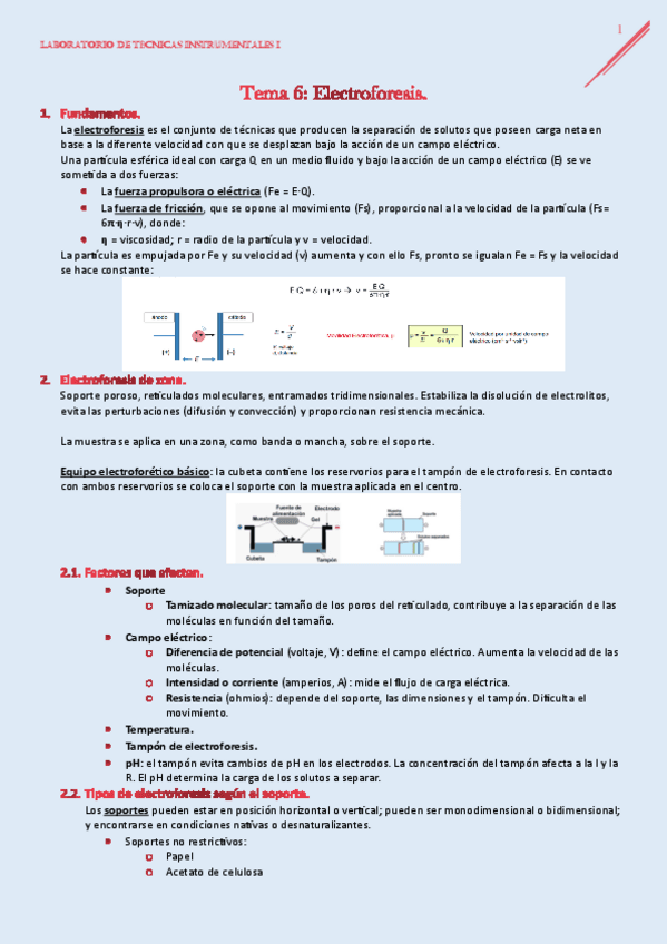 LAB-I-TEMA6.pdf
