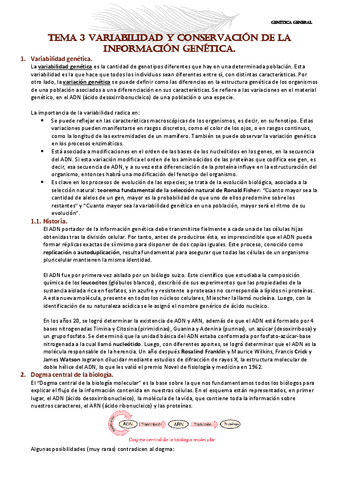 GENETICA-TEMA-3.pdf
