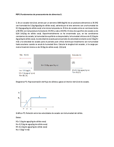 PEP-2-Funda-II-FLO-ARRAU.pdf