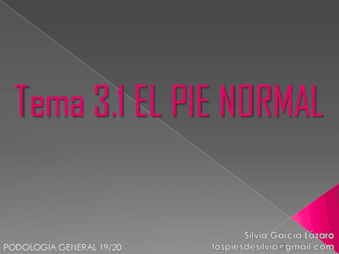 TEMA-3.1-PIE-NORMAL-1.pdf