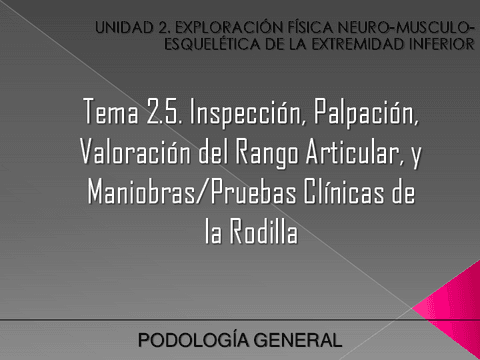 Unidad-2.-Tema-2.5.-Rodilla.pdf