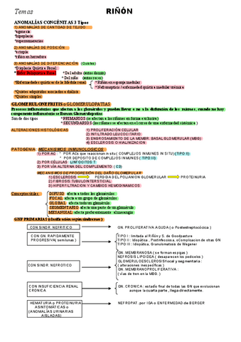 Tema-11-rinon--Ap-Masculino-HOHA-CHICA.pdf