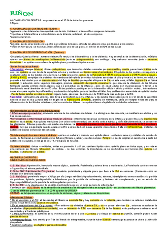 Tema-11-RINON-hoja-grande-CON-COLOR.pdf