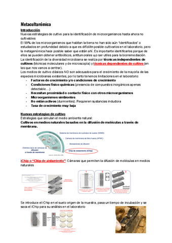 Seminario-8-Metaculturomica.pdf