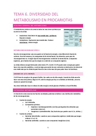 Tema-6.-Diversidad-del-metabolismo-en-procariotas-HA.pdf