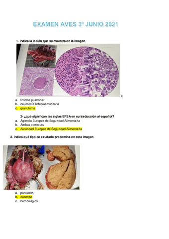 EXAMEN-FINAL-AVES-JUNIO-2021.pdf