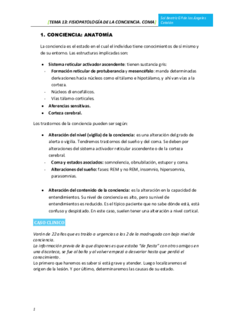 TEMA 13 CONCIENCIA COMA.pdf