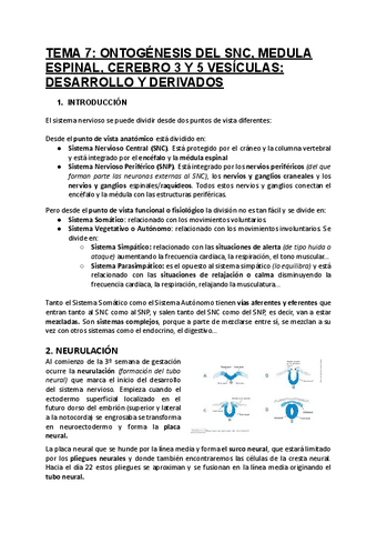 TEMA-7-Ontogenesis-del-SNC.pdf