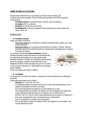 TEMA-10-Nucleo-celular.pdf