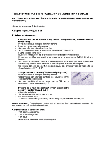 TEMA-9-Proteinas-y-mineralizacion-de-la-dentina-y-esmalte.pdf