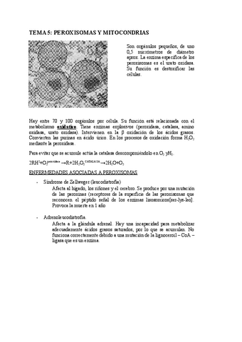TEMA-5-Peroxisomas.pdf