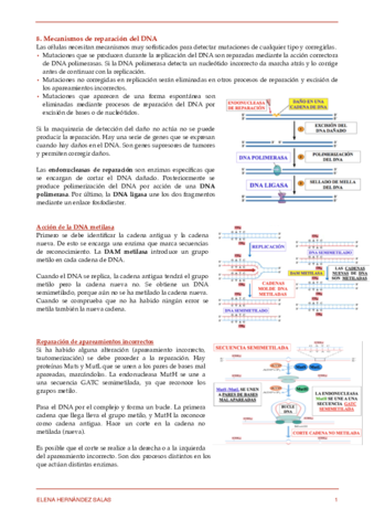 8. Mecanismos de reparación del DNA.pdf