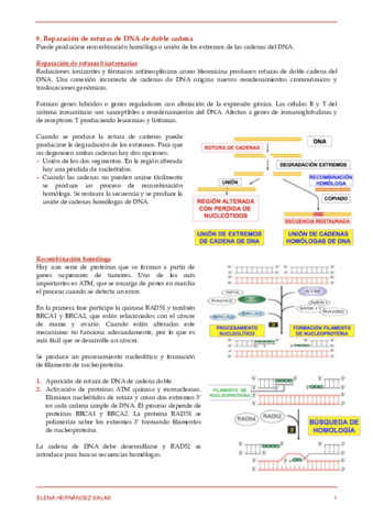 9. Reparación de roturas de DNA de doble cadena.pdf