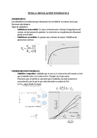 TEMA-4-Regulacion-enzimatica.pdf