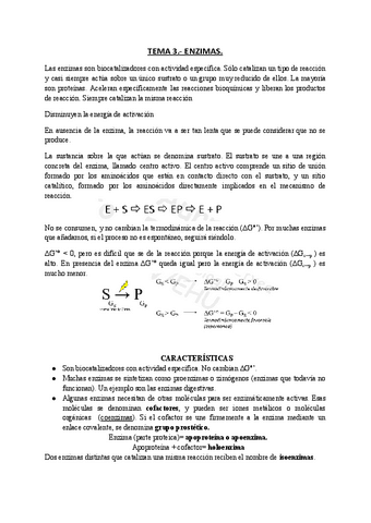 TEMA-3-Enzimas.pdf