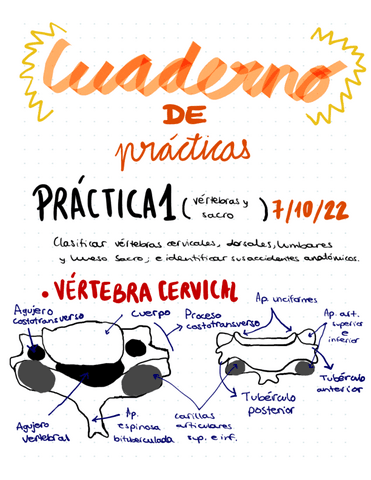 Cuaderno-de-practicas.pdf