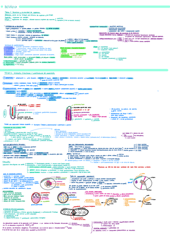 bot-1-y-2.pdf