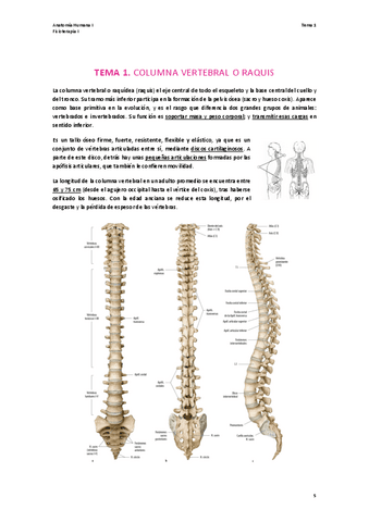 TEMA-1.-ANATOMIA-I.pdf
