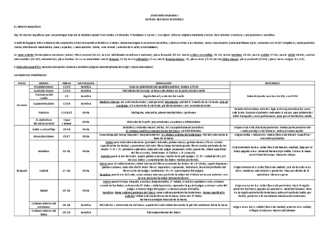 Esquema-NERVIOSO.pdf