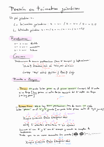Esquemica-metrica.pdf