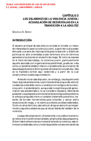 Tema5ViolenciajuvenilSaravi.pdf