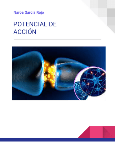 PRACTICA-4-Potencial-de-accion.pdf