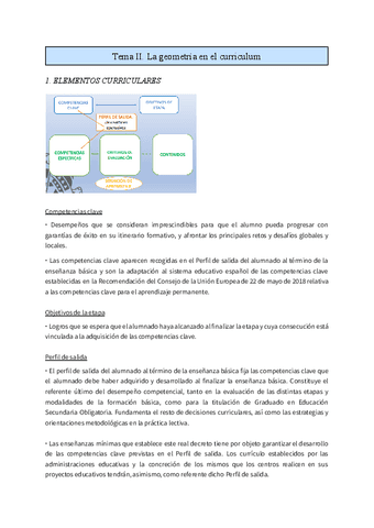Tema-II.-La-geometria-en-el-Curriculum.pdf