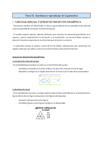 Tema-III-Ensenanza-y-aprendizaje-de-la-geometria.pdf