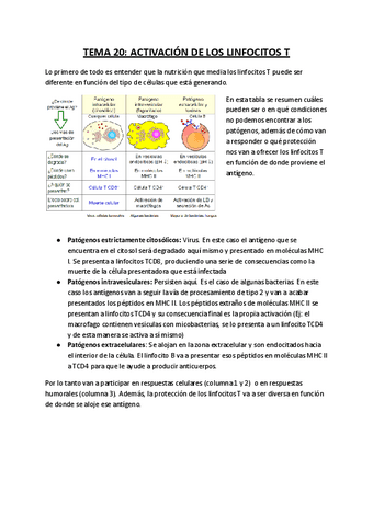 TEMA-20-Activacion-de-los-linfocitos-T.pdf