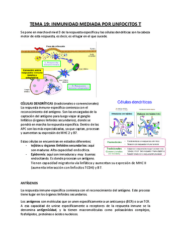 TEMA-19-Inmunidad-mediada-por-linfocitos-T.pdf